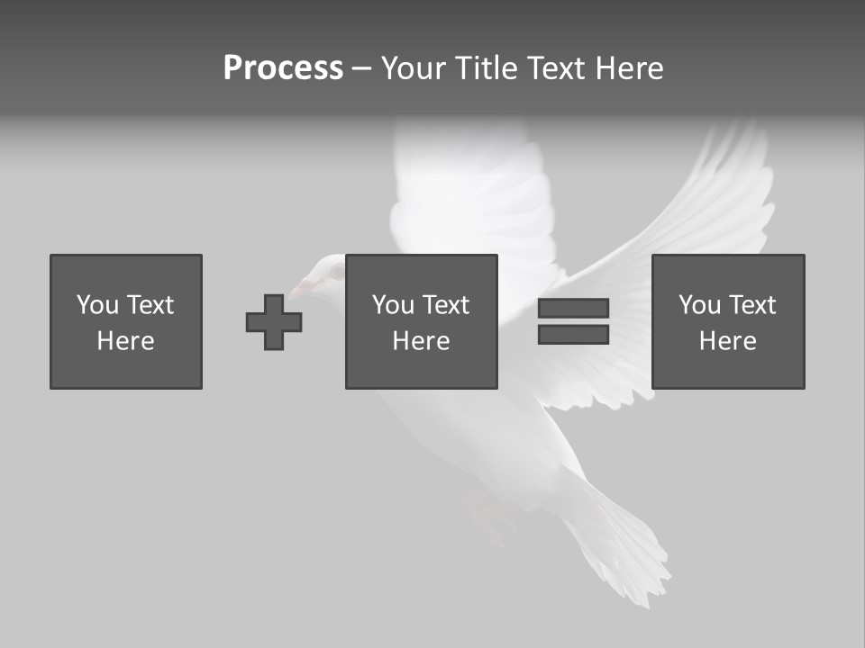 Purity Isolated Feather PowerPoint Template