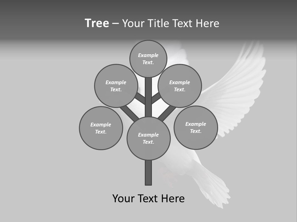 Purity Isolated Feather PowerPoint Template