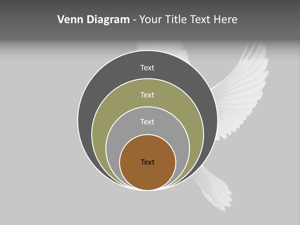 Purity Isolated Feather PowerPoint Template