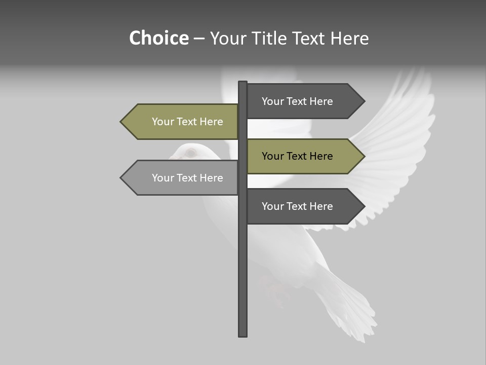 Purity Isolated Feather PowerPoint Template