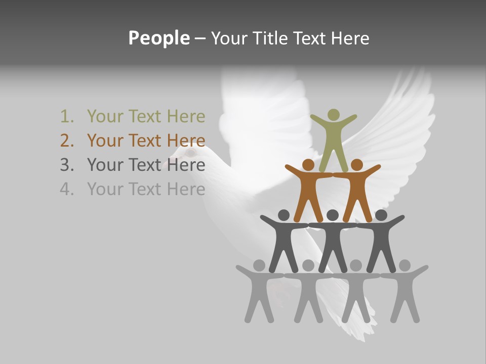 Purity Isolated Feather PowerPoint Template