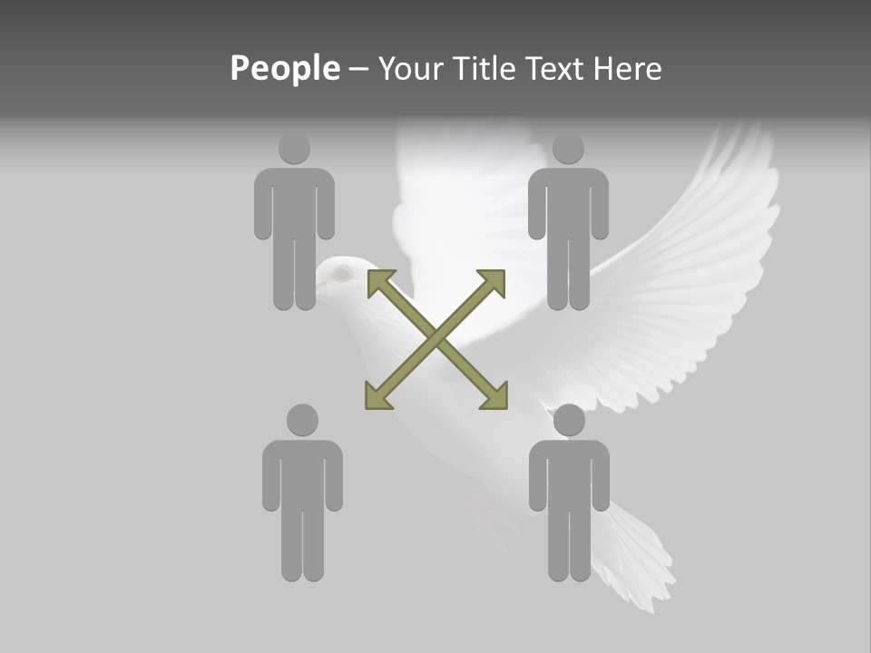 Purity Isolated Feather PowerPoint Template