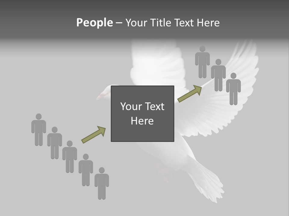 Purity Isolated Feather PowerPoint Template