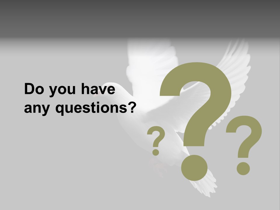 Purity Isolated Feather PowerPoint Template