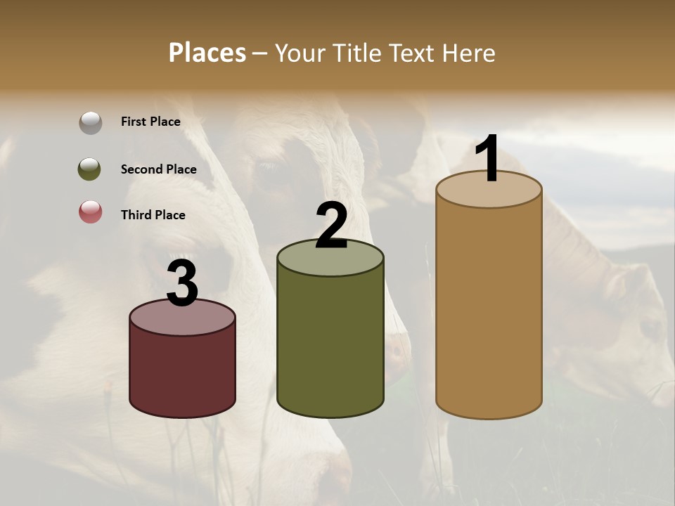 Agricultural Village Calf PowerPoint Template