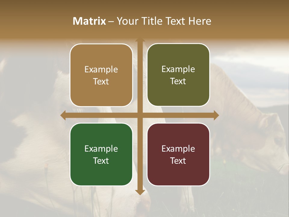 Agricultural Village Calf PowerPoint Template