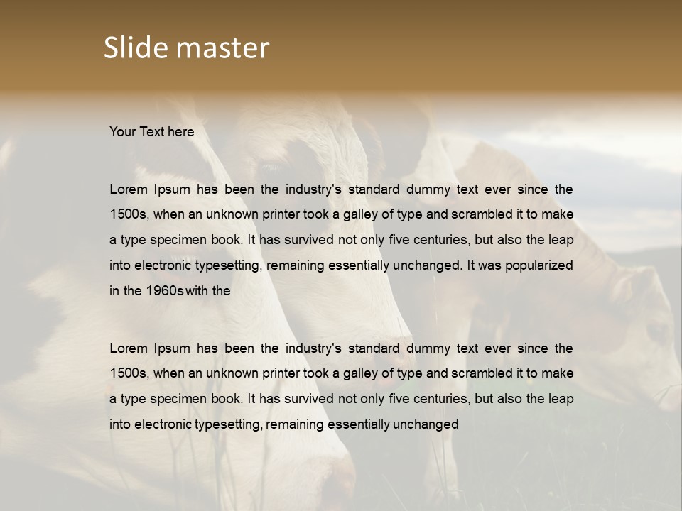 Agricultural Village Calf PowerPoint Template