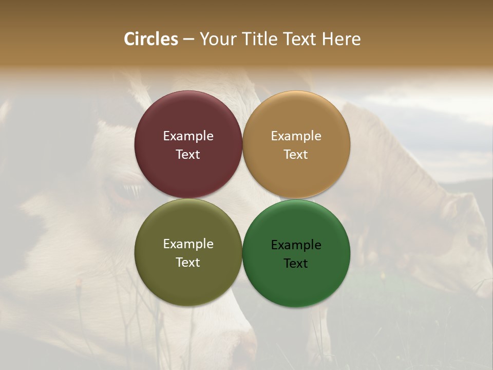 Agricultural Village Calf PowerPoint Template