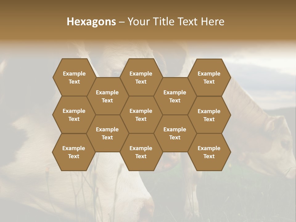 Agricultural Village Calf PowerPoint Template