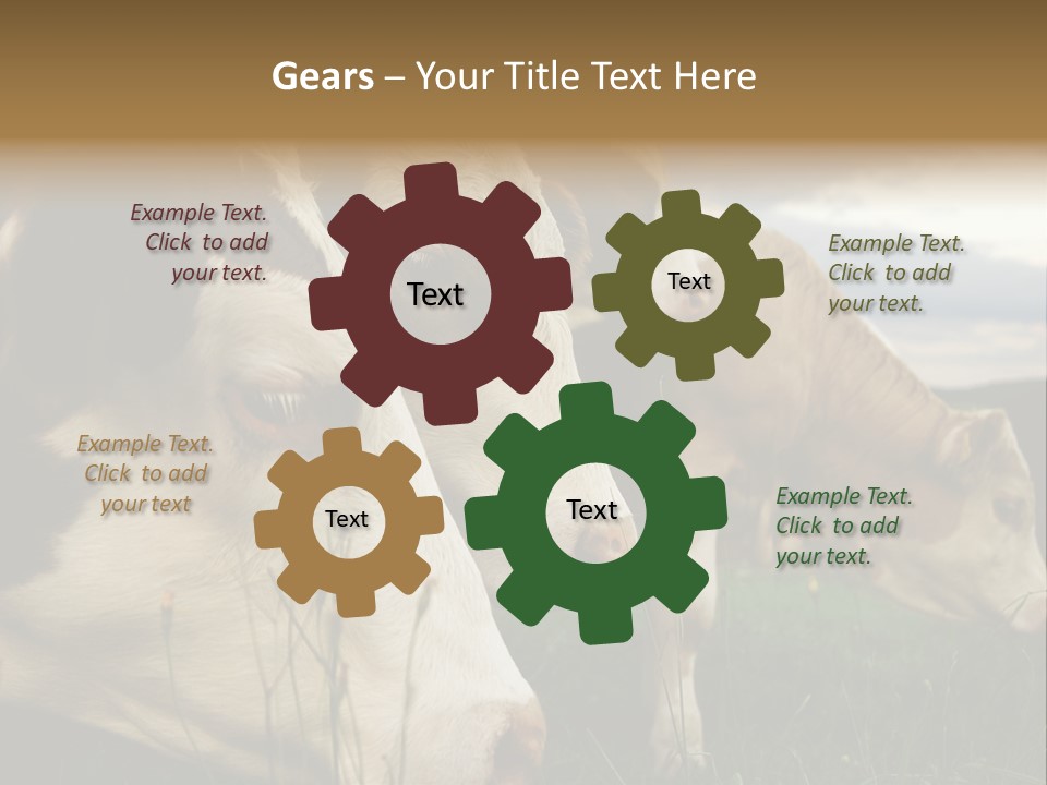 Agricultural Village Calf PowerPoint Template