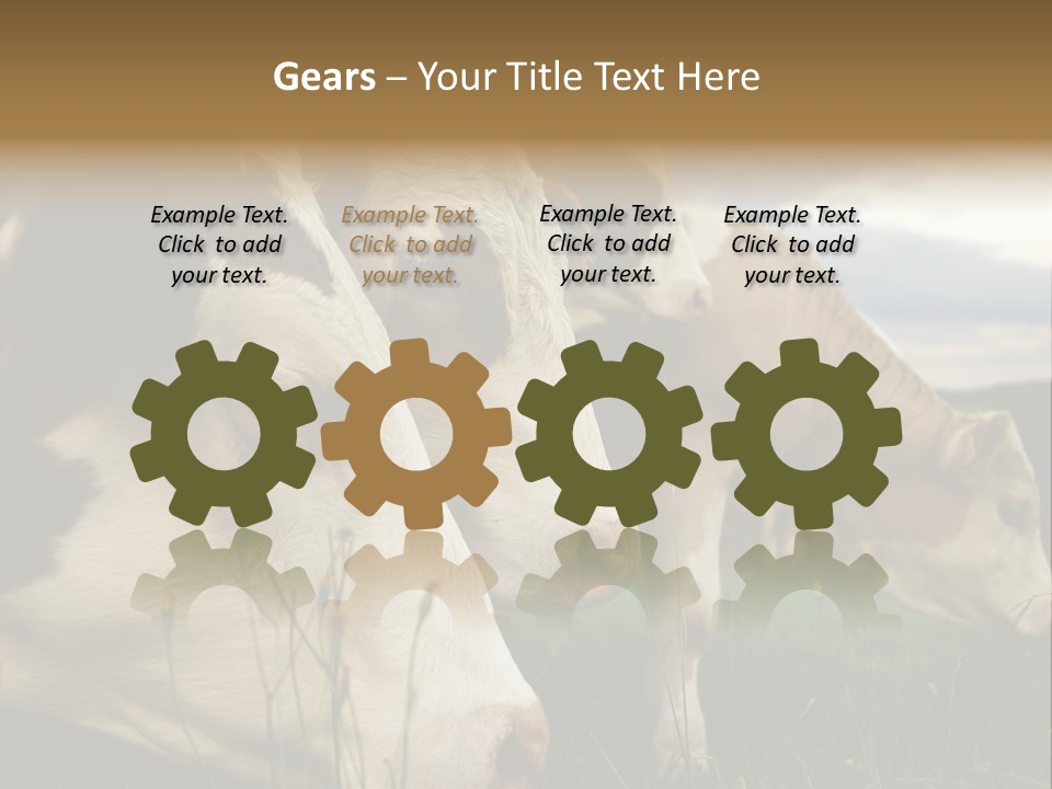 Agricultural Village Calf PowerPoint Template