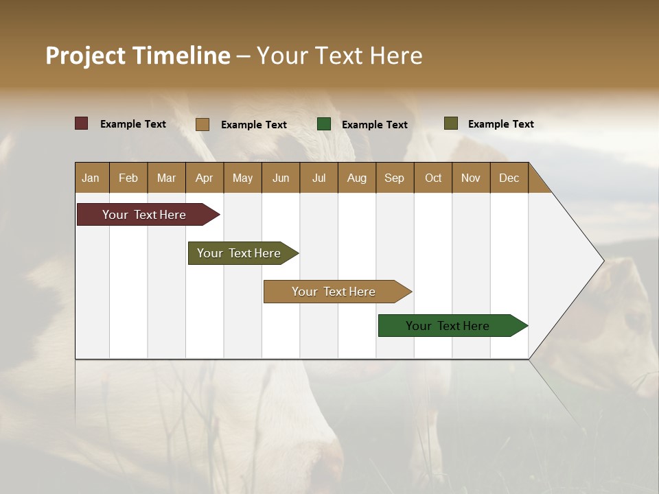 Agricultural Village Calf PowerPoint Template