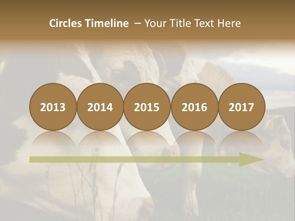 Agricultural Village Calf PowerPoint Template