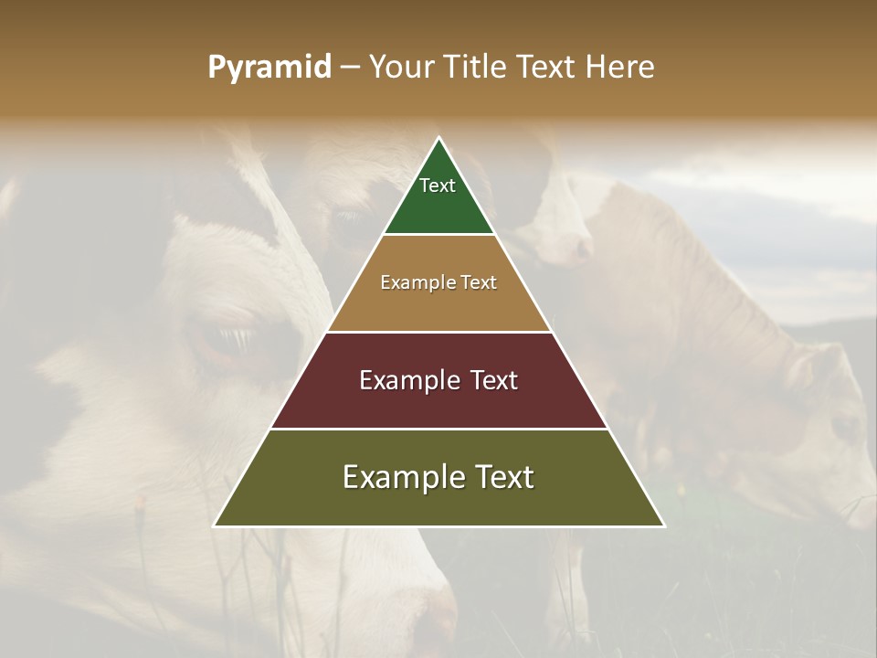 Agricultural Village Calf PowerPoint Template