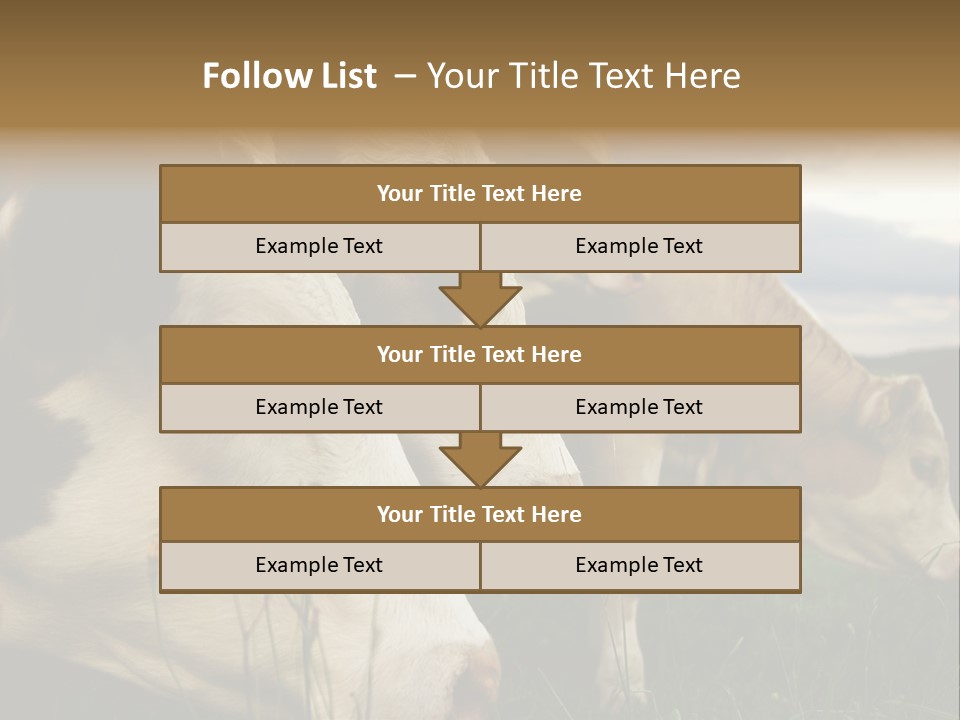 Agricultural Village Calf PowerPoint Template