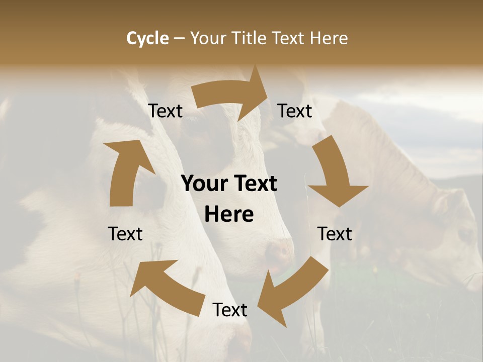 Agricultural Village Calf PowerPoint Template