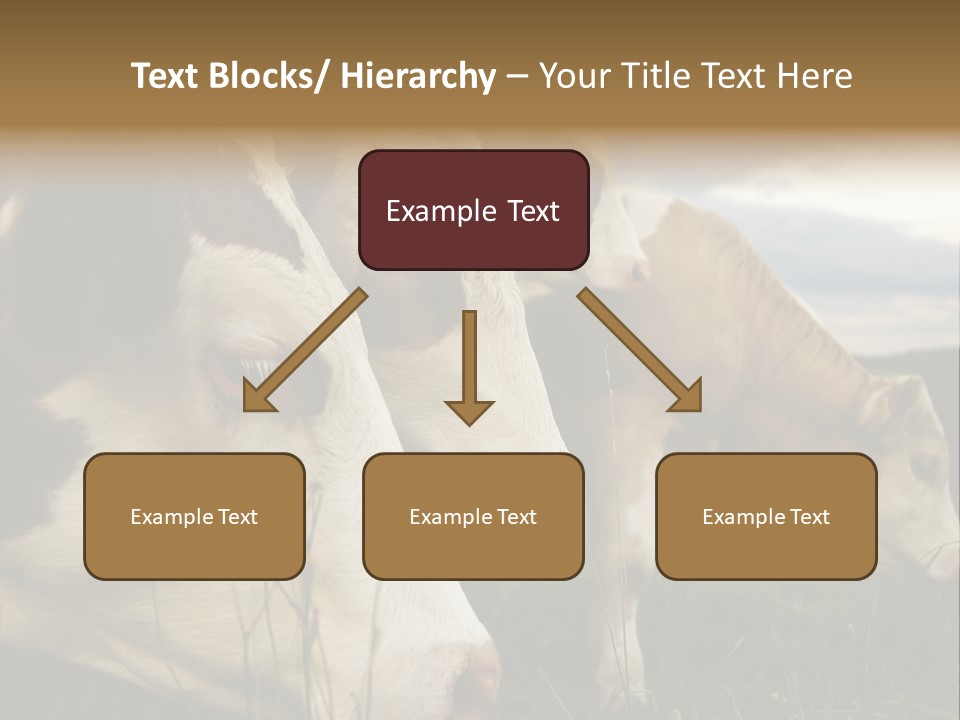 Agricultural Village Calf PowerPoint Template