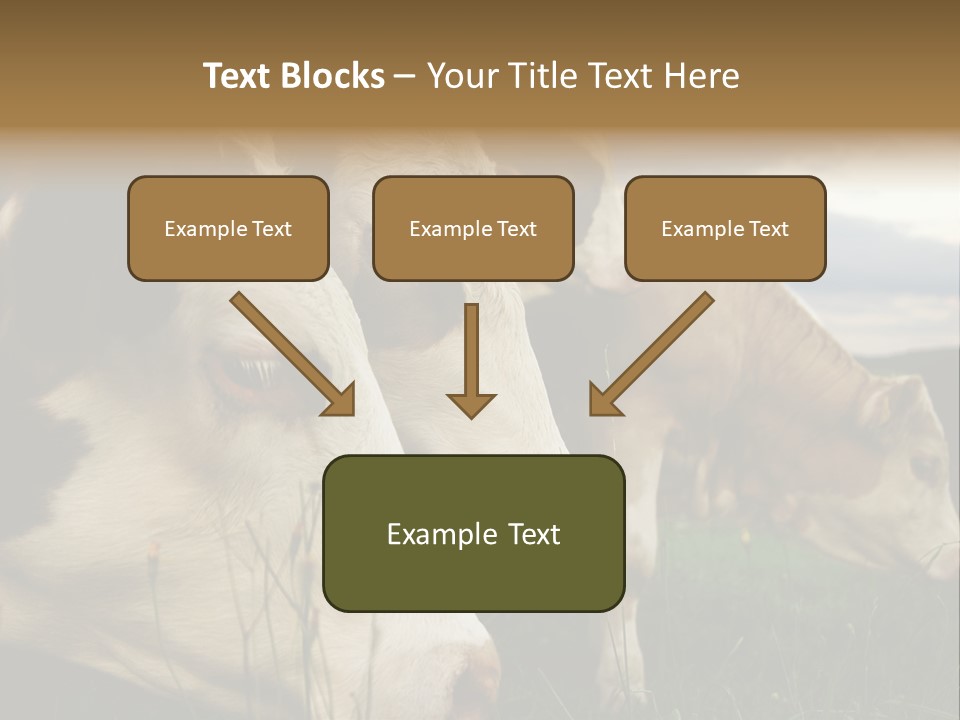 Agricultural Village Calf PowerPoint Template