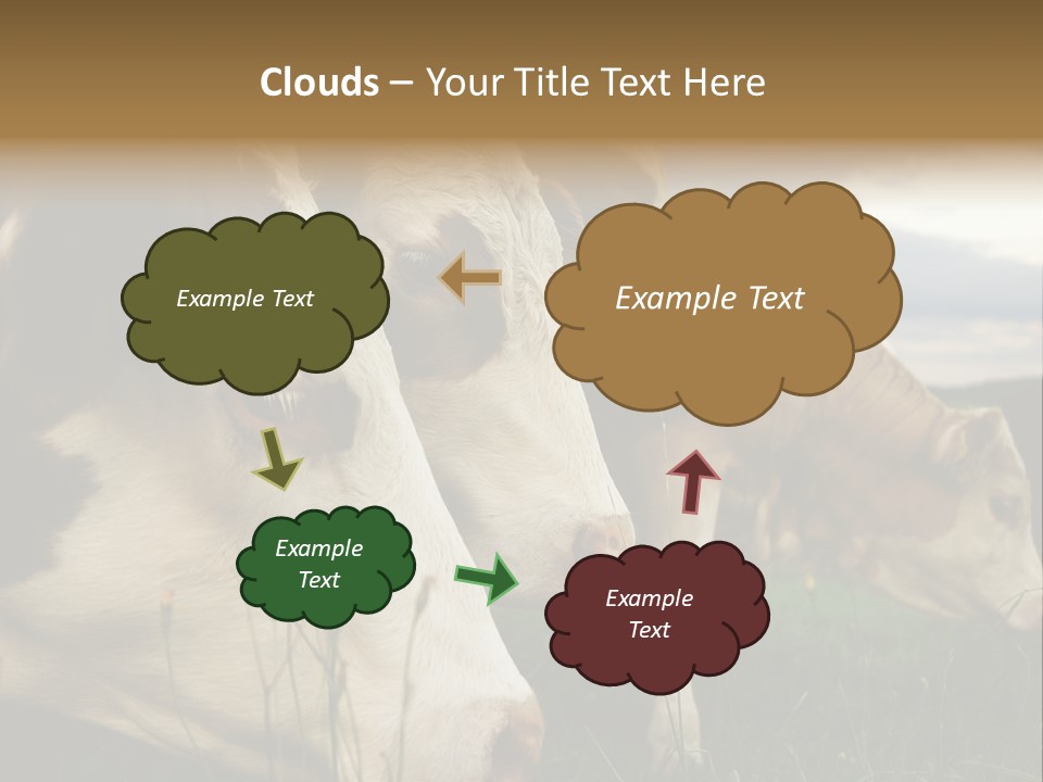 Agricultural Village Calf PowerPoint Template