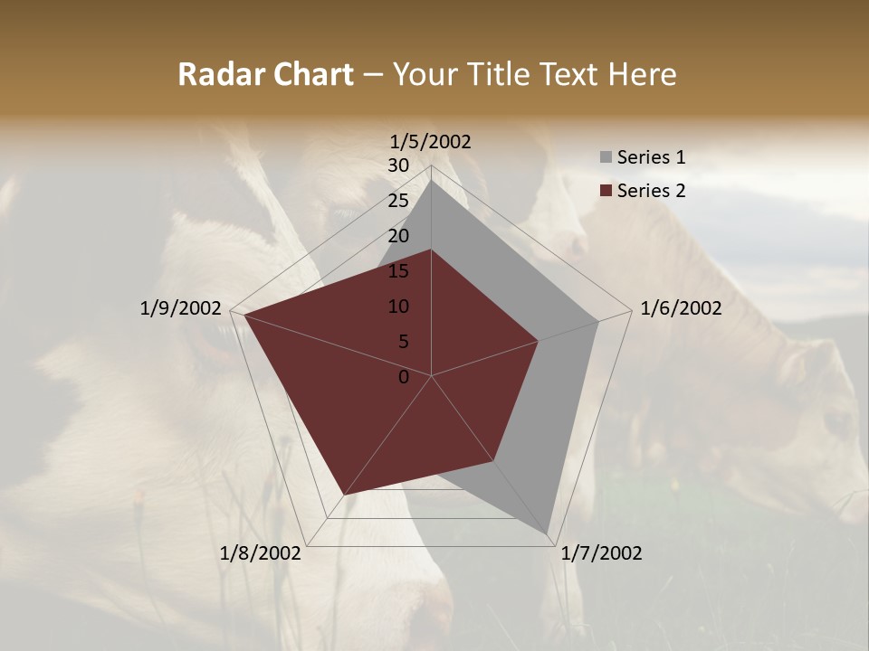 Agricultural Village Calf PowerPoint Template