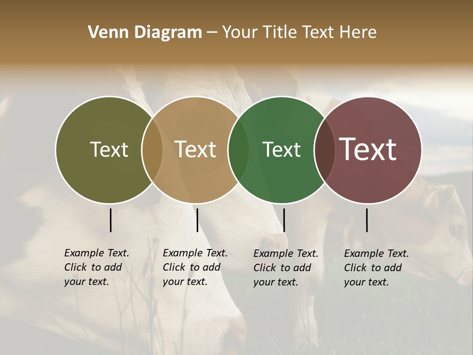 Agricultural Village Calf PowerPoint Template
