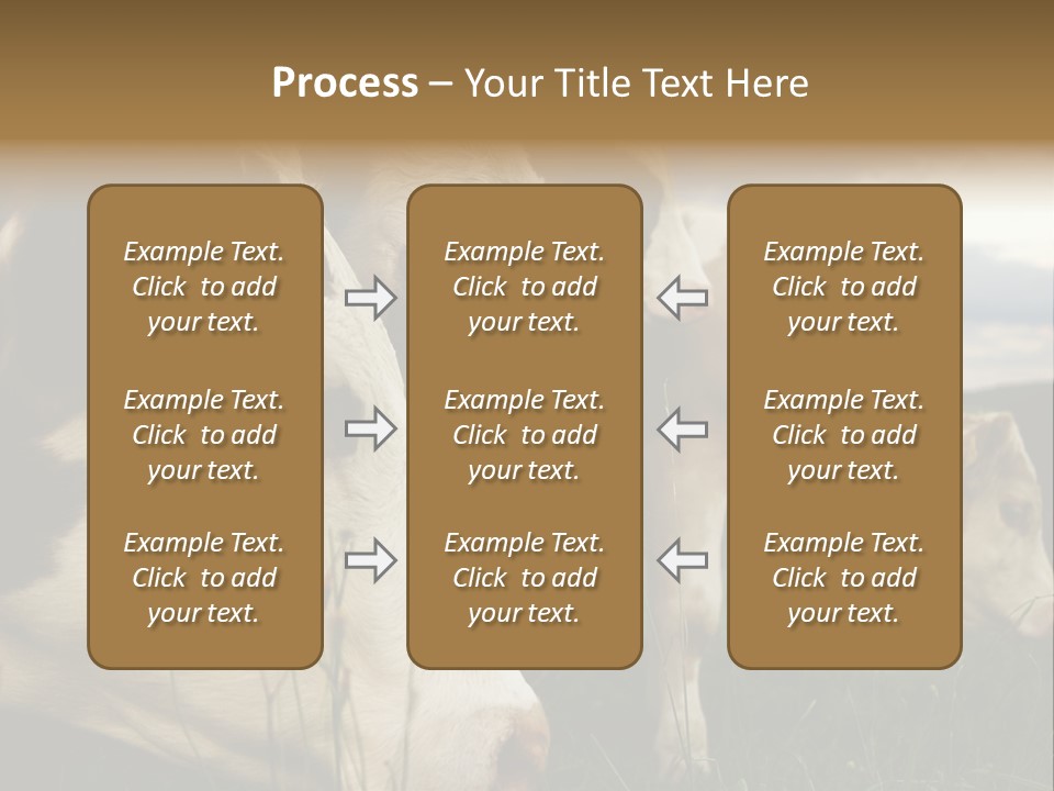 Agricultural Village Calf PowerPoint Template