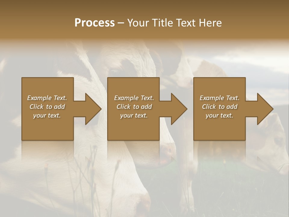 Agricultural Village Calf PowerPoint Template