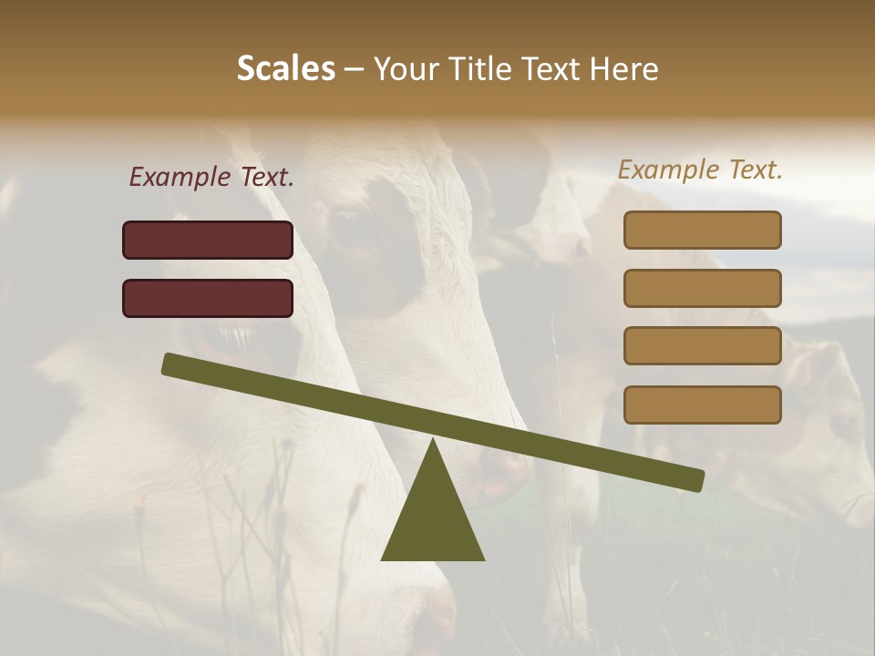 Agricultural Village Calf PowerPoint Template