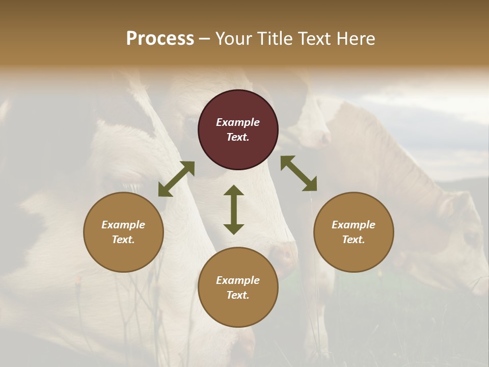 Agricultural Village Calf PowerPoint Template