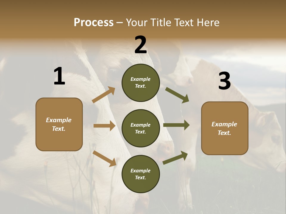Agricultural Village Calf PowerPoint Template
