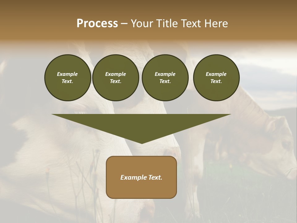 Agricultural Village Calf PowerPoint Template