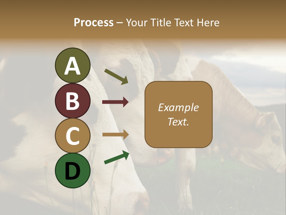 Agricultural Village Calf PowerPoint Template