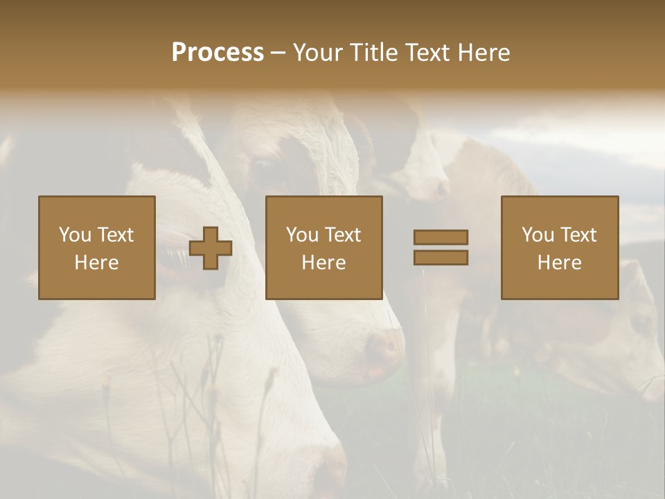 Agricultural Village Calf PowerPoint Template