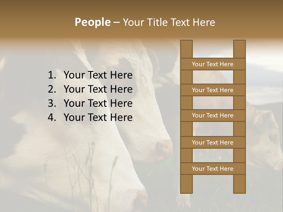 Agricultural Village Calf PowerPoint Template