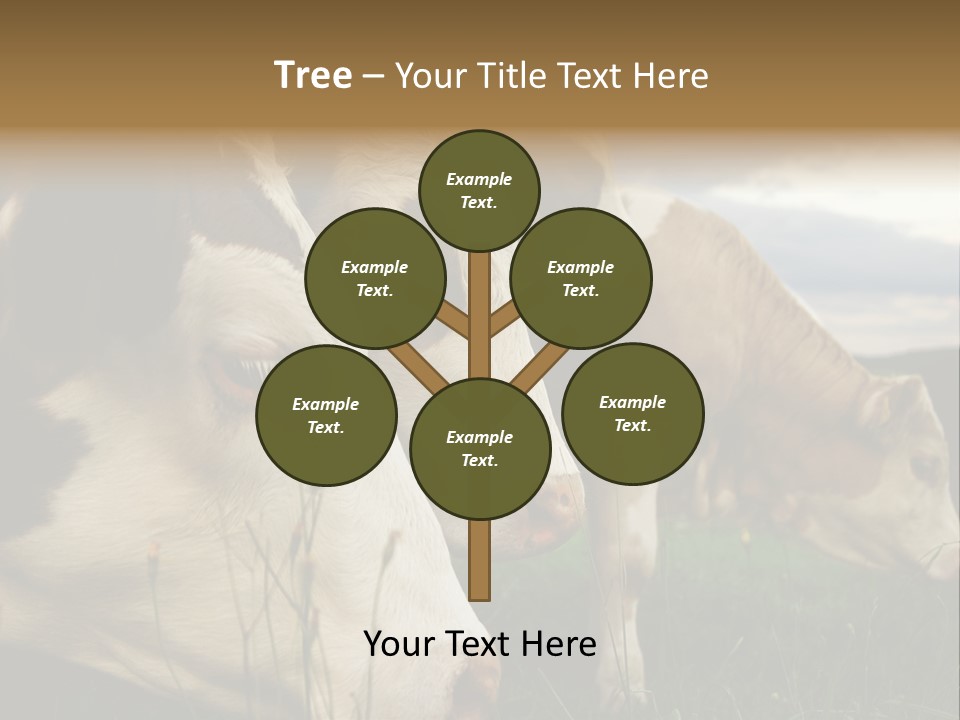 Agricultural Village Calf PowerPoint Template