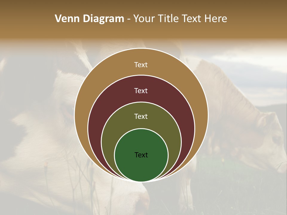 Agricultural Village Calf PowerPoint Template