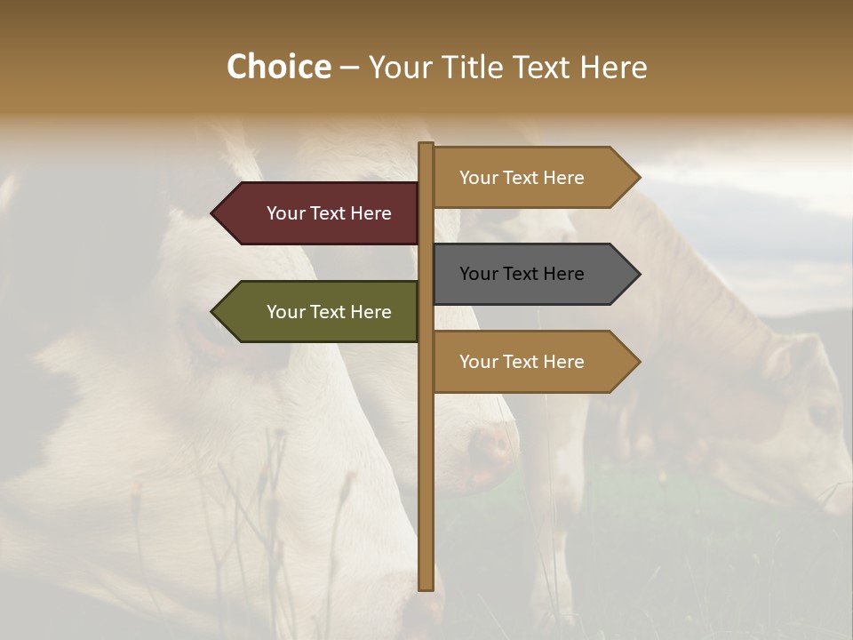 Agricultural Village Calf PowerPoint Template