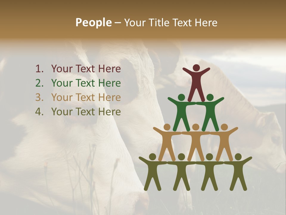 Agricultural Village Calf PowerPoint Template