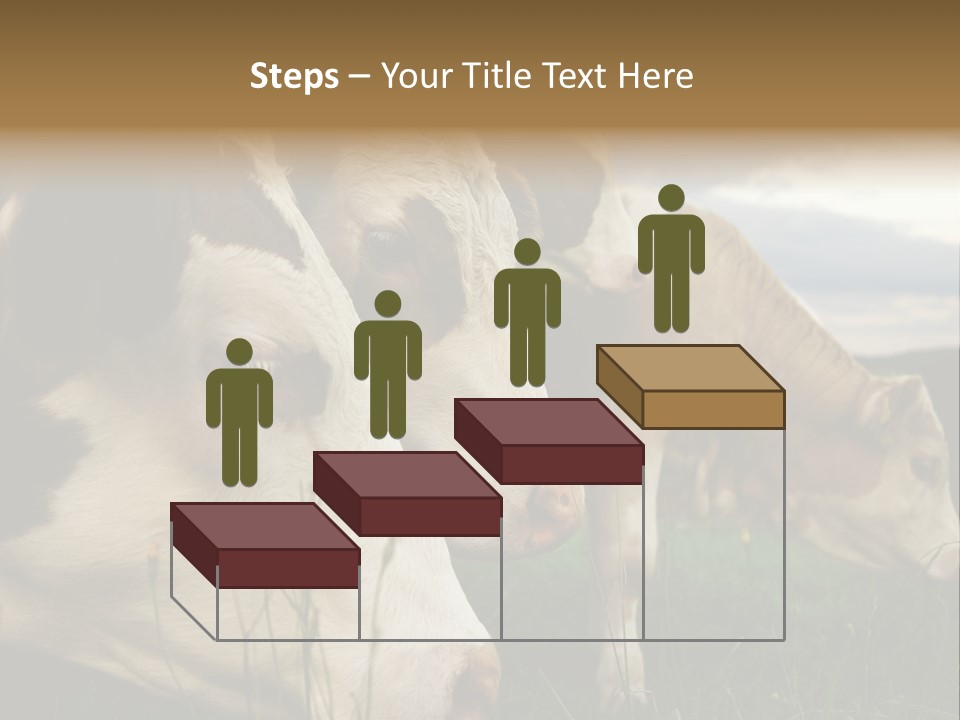 Agricultural Village Calf PowerPoint Template