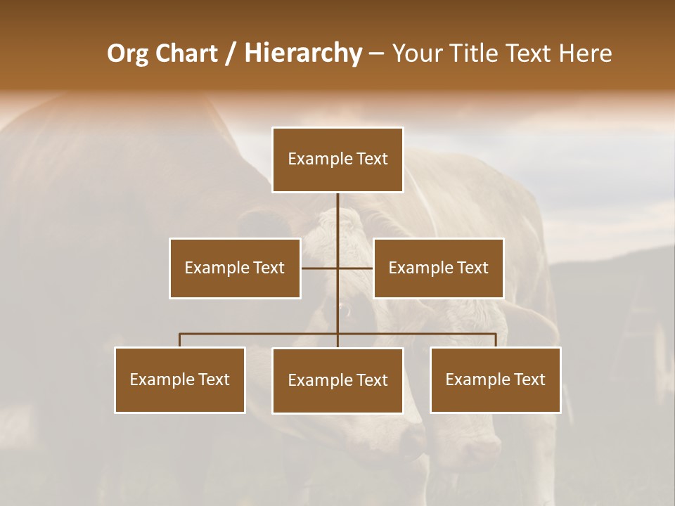 Cow Agricultural Village PowerPoint Template