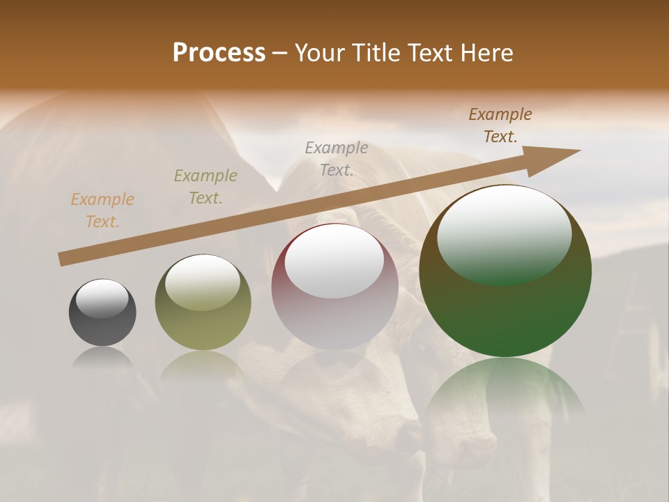 Cow Agricultural Village PowerPoint Template