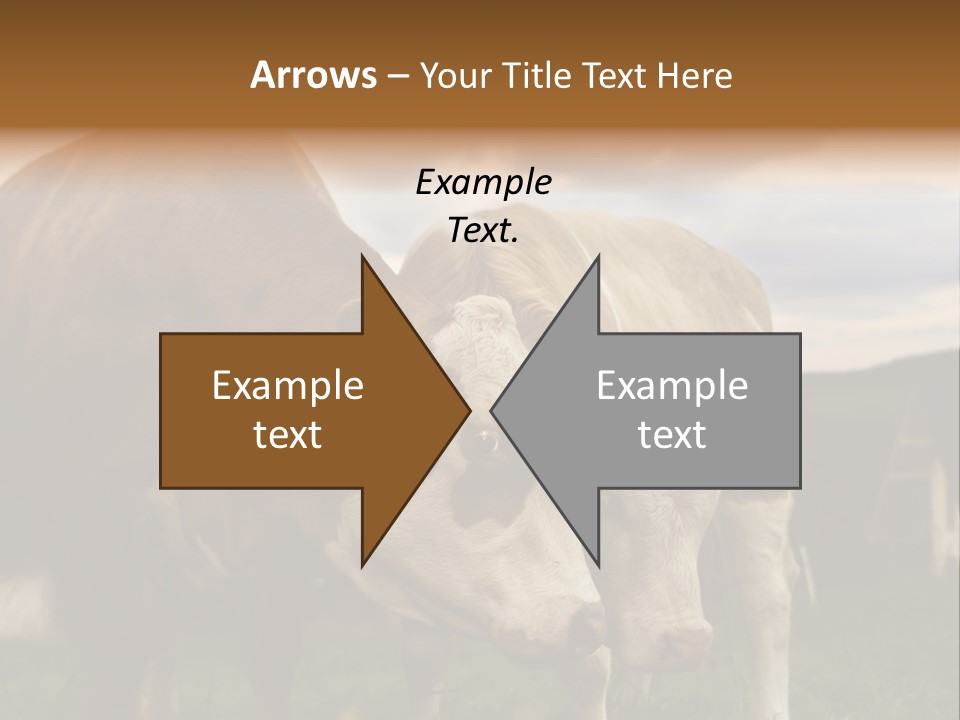 Cow Agricultural Village PowerPoint Template