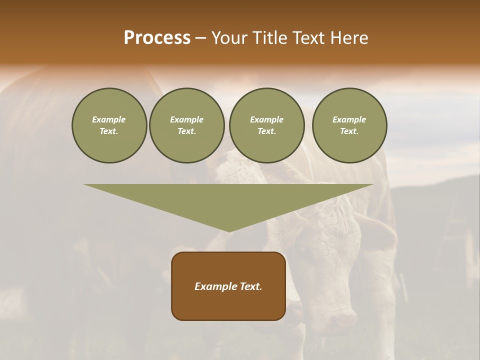 Cow Agricultural Village PowerPoint Template