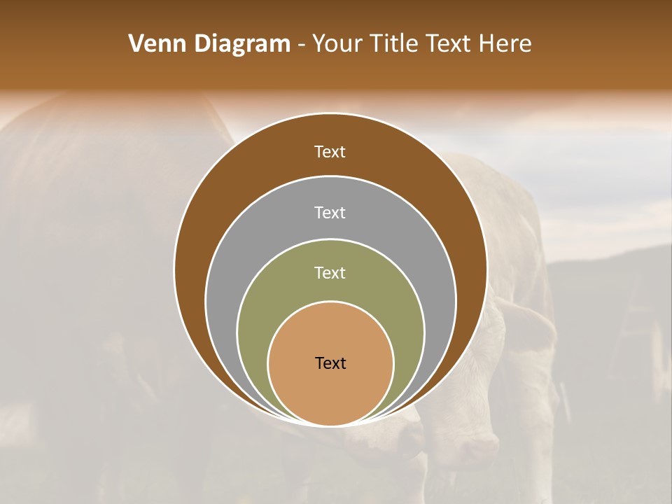 Cow Agricultural Village PowerPoint Template