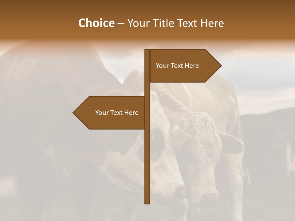 Cow Agricultural Village PowerPoint Template