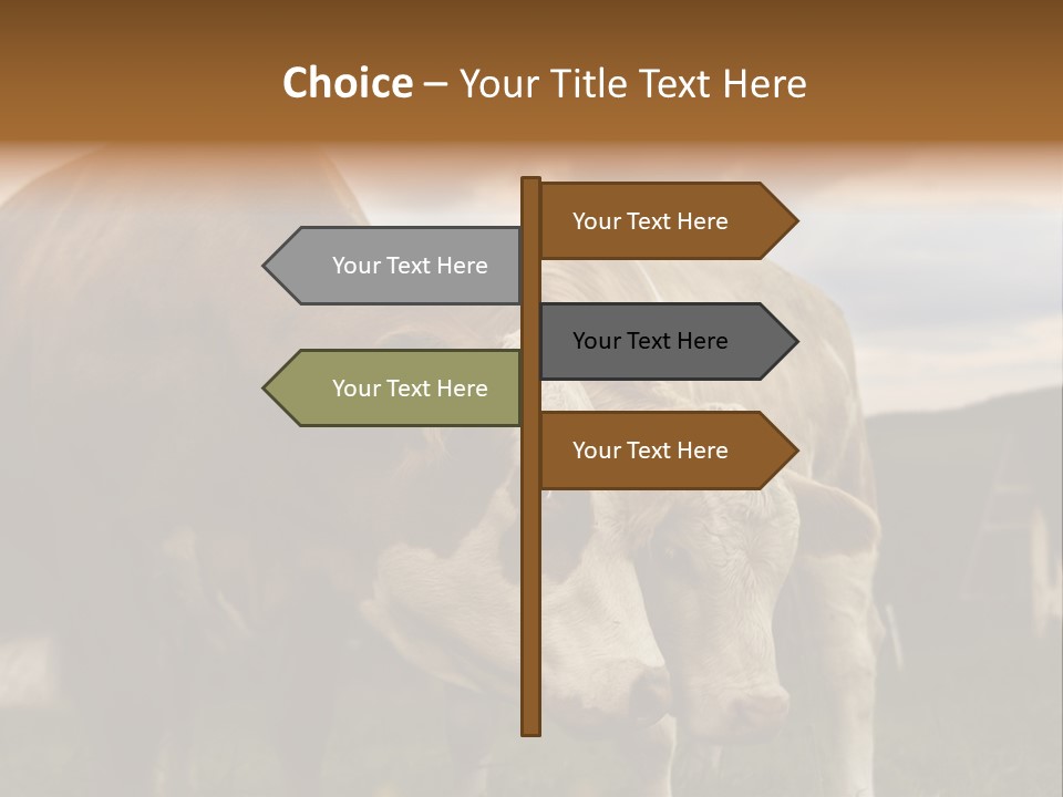 Cow Agricultural Village PowerPoint Template