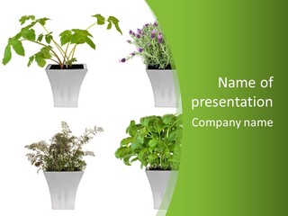 Plant Drug Remedy PowerPoint Template