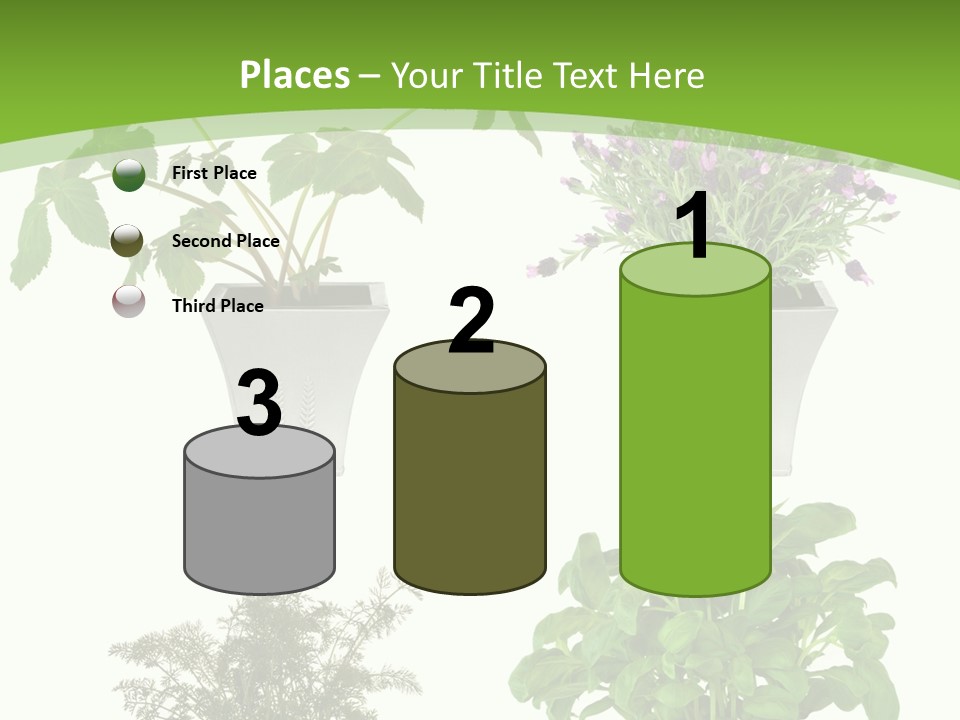 Plant Drug Remedy PowerPoint Template