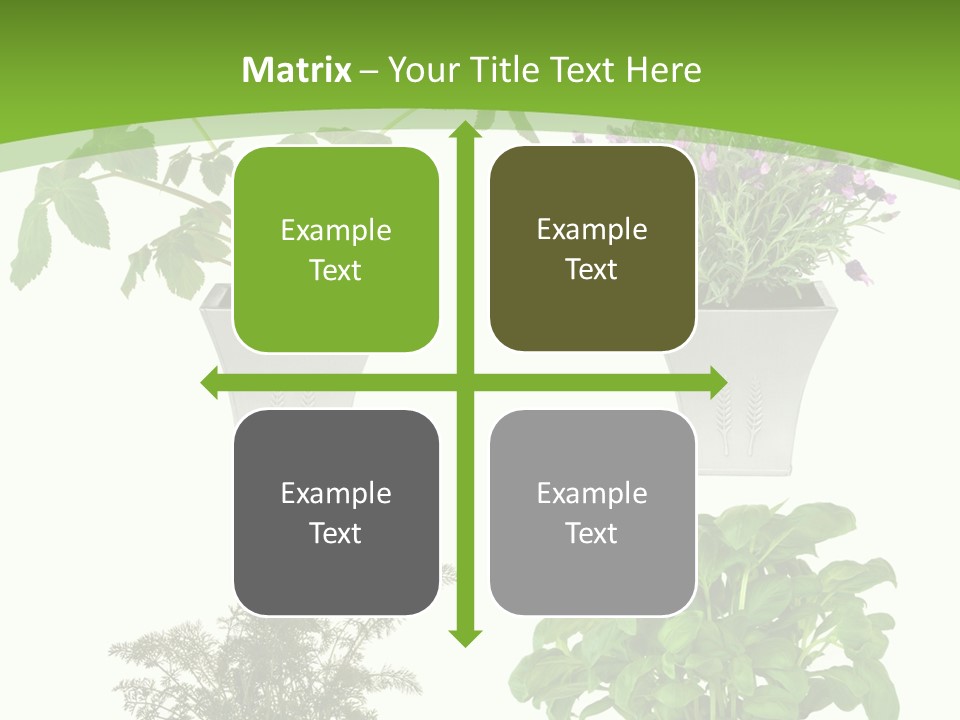 Plant Drug Remedy PowerPoint Template