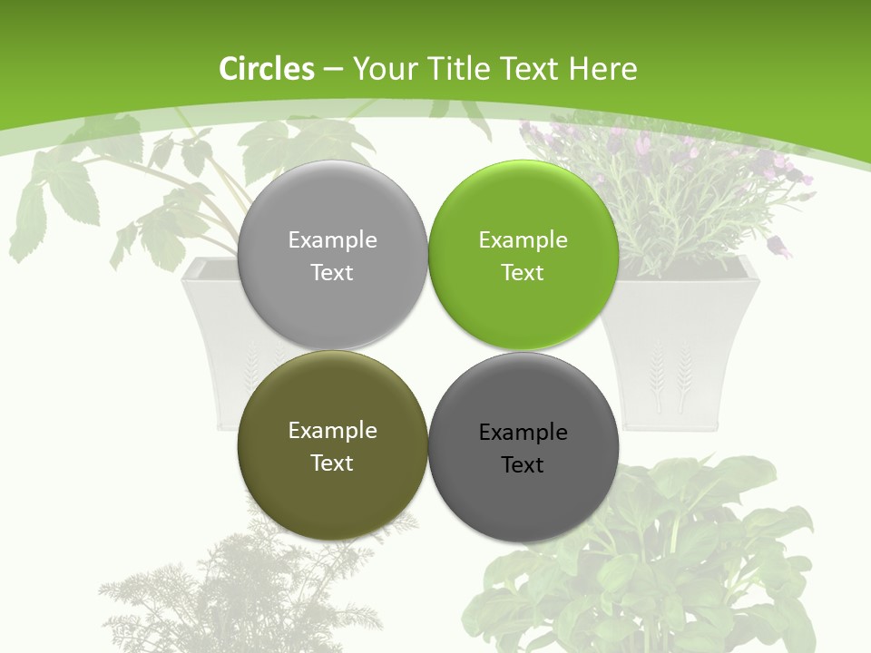 Plant Drug Remedy PowerPoint Template